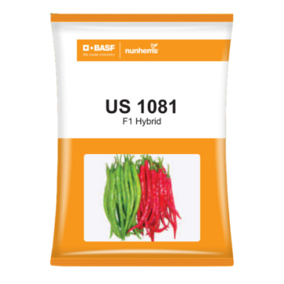 us 1081 chilli seeds